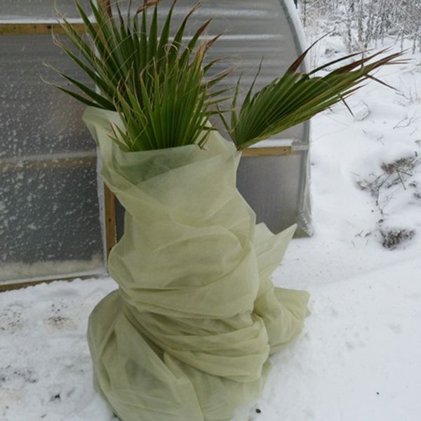 Voile d'hivernage