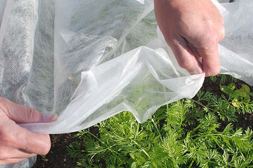 Produits non-tissés pour jardin et agriculture